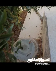  7 بيت مستقل طابقين / أجمل اطلالة على جبال عجلون في لواء كفرنجه ( اقرأ الوصف بالإعلان)...