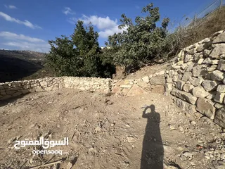  22 عجول قطعة ارض مساحتها 811 متر كوشان طابو مستقل سلطة أ تنازل فوري