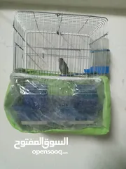  1 كنار للبيع حبشي نار