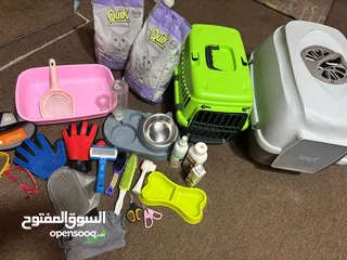  2 مستلزمات القطط كل الأغراض الي بتحتاجها لقطتك، موجودة وبسعر ممتاز