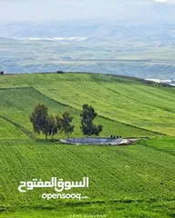  27 باصات 10 مقاعد للايجار مع السائق. باصات حديثه   لجميع انحاء المملكة عجلون والسلط وجرش البتراء
