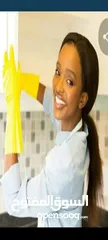  3 cleaning  services  part-time