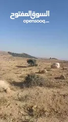  13 قطعة ارض شرق جرش مرويه من بئر ارتوازي مطله ومرتفعه بسعر مغري متوفر أكثر من 50 قطعه في نفس المنطقه