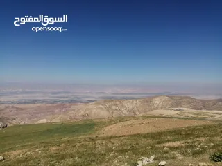  1 4600م الوطية اطلالة غربية كاملة ع جبال فلسطين