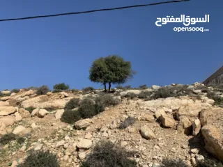  2 ارض للبيع في ابو دعجان