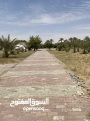  3 مزرعه في غمض