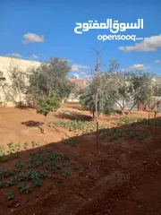  2 بيت للبيع في الرجم الشامي