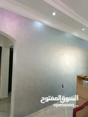  15 اصباغ وجبسيات