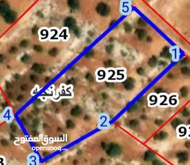  1 قطعة أرض للبيع في عجلون من اراضي كفرنجه موقع مميز جدا اطلاله جميلة داخل التنظيم مزروعة زيتون