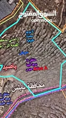  1 فرصة استثمارية ، أرض