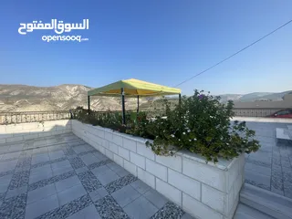  26 شالية ومزرعة تل زرعه سد وادي العرب