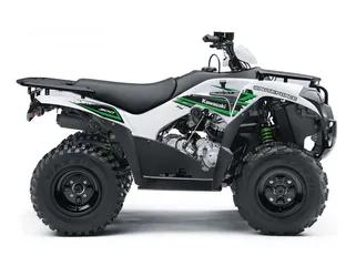  7 Kawasaki BRUTE FORCE 300