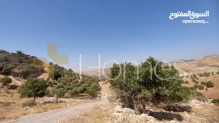  2 ارض للبيع تصلح للاستثمار في عمان - ابو السوس بمساحة 3400 م