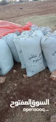 4 تبن أحمر بيقا البيع