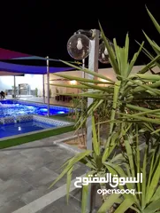  4 ضيوفنا الكرام  عيشو التجربه عنا بمزرعة وشاليه النور  مكان هادي وخصوصيه عائليه ومناظر طبيعية إلك وللأ