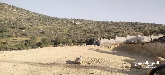  3 العالوك بيرين