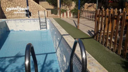  6 شاليه مساحة دلم متكامل الخدمات متميز الموقع