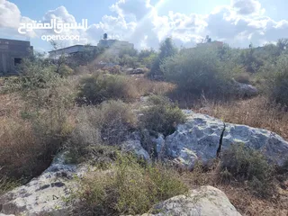  4 حصة بمنطقة الحرايق