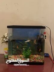  1 Aquarium fish tank with filter