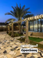  3 مزرعة جميله عائليه هادئه تصلح للحفلات للإيجار اليومي في رأس الخيمة