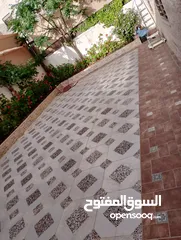  5 شقه ارضية فاخره مميزه بأجمل مناطق البنيات ام قصير من المالك