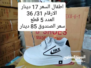  24 البيع بالجمله فقط