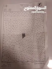 3 أسامه أبوزيد