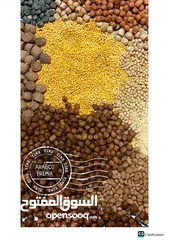  22 اعلاف أسماك ALFA-MIX FISH FEED