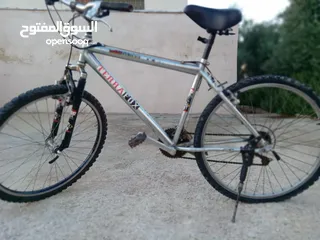  1 بسكوليت الماني جنط 26