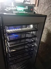  2 فقاسات بيض 700بيضة