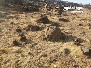  4 نمرتين ظهرة الرمل بسعر مغري جدا اطلالة غربية كاملة تصلح ل شالية فخم