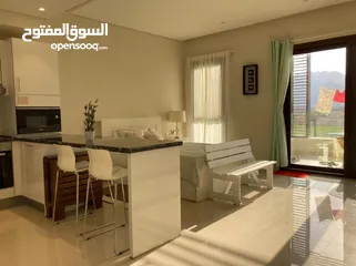  3 1 BR Amazing Furnished Studio Apartment in Jebel Sifa for Sale