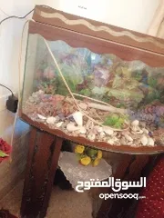  1 حوض سمك مع طاولة للبيع