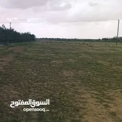  1 ارض للبيع في سيوطه خلف معسكر السكت