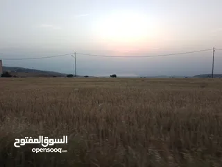  23 مادبا ماعين المشرفة قطعة ارض زراعية مميزة واصل الخدمات ذات اطلالة على البحر الميت واصل الخدمات