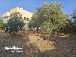  1 منزل مستقل لبيع في ذيبان