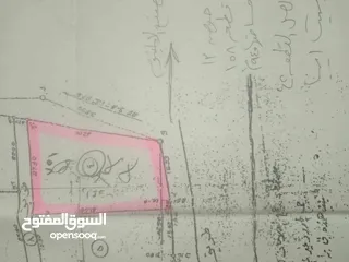  1 جهاد السخل
