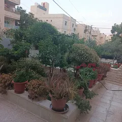  3 شقه فارغه للايجار شارع الجامعة الاجره شهريه 180