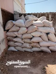  2 تبن قمح وتبن فول