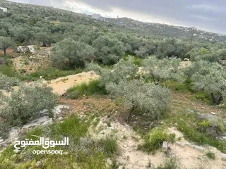  2 منزل قيد الإنشاء جاهز منه غرفة وحمام وبرندة على قطعة ارض 3250 متر فيه بئر ماء مخدوم ماء وكهرباء