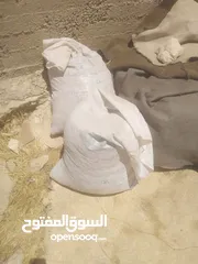  4 زبل غنم سماد للحدائق والاشجار نصف دينار