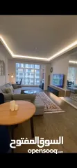  6 Luxurious apartment - fully furnished-