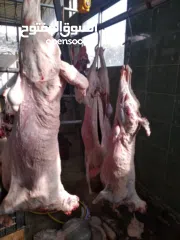  4 ملحمة ومسلخ خاص وأرض "مرزعة" للبيع