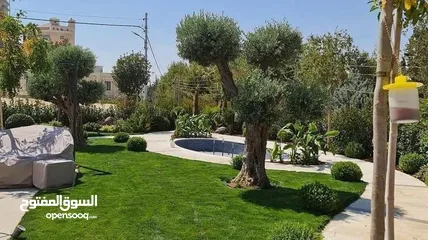  9 نجيل طبيعي للحدائق M5 - صنف وعرض مميز