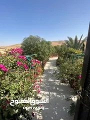  3 متوفر اراضي مساحات كبيره 100 دونم واكثر باسعار مناسبه