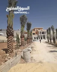  19 موسسة جينار لتشيك المزارع وبناء السناسل والاسوار واستصلاح الاراضي أدارة المزارع