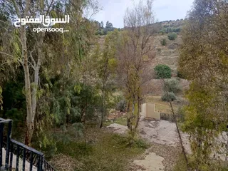  6 مزرعه مع 2 بيت ريفي مخدومه ماء وكهرباء مساحتها 4712