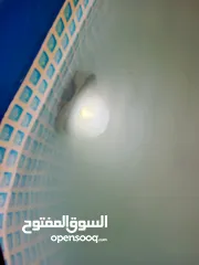  7 مسبح ماء  للبيع بحاله الوكاله
