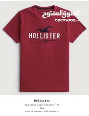  7 Original Hollister t-shirts form Germany 100%