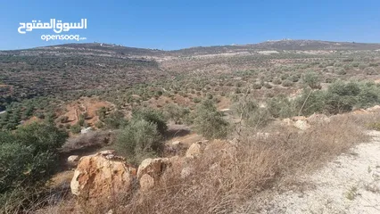  3 ارض كوشان مستقل تصنيف ب 499 متر سعر مغري